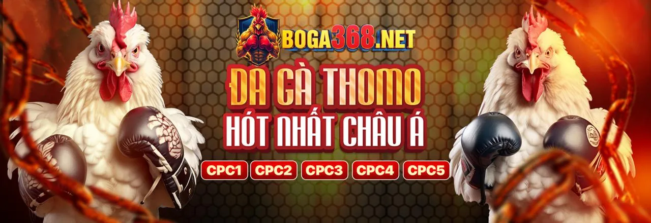 Ứng dụng 118kbet Win trên điện thoại