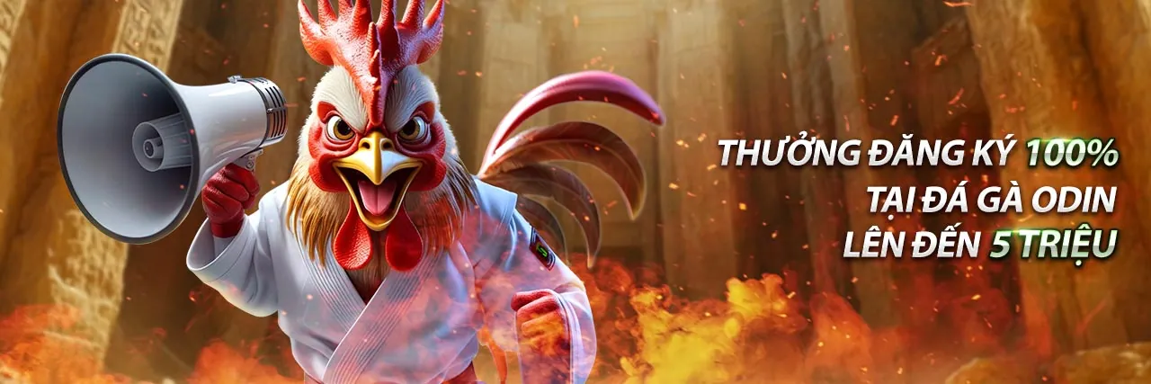 Chương Trình VIP 118kbet win